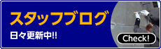 スタッフブログ 日々更新中!!