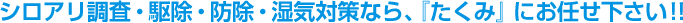 シロアリ調査・駆除・防除・湿気対策なら、『たくみ』にお任せ下さい！！