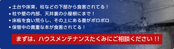 土台や床束、柱などの下部から食害されてる！・柱や壁の内部、天井裏の小屋根にまで！・床板を食い荒らし、その上にある畳がボロボロ・保管中の貴重な本が食害されてる！まずは、ハウスメンテナンスたくみにご相談ください！！