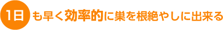 1日も早く効率的に巣を根絶やしに出来る