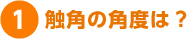 1. 触角の角度は？