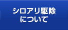 シロアリ駆除について