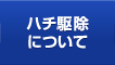 ハチ駆除について