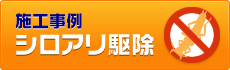 施工事例 シロアリ駆除