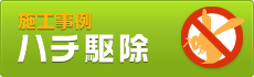 施工事例 ハチ駆除